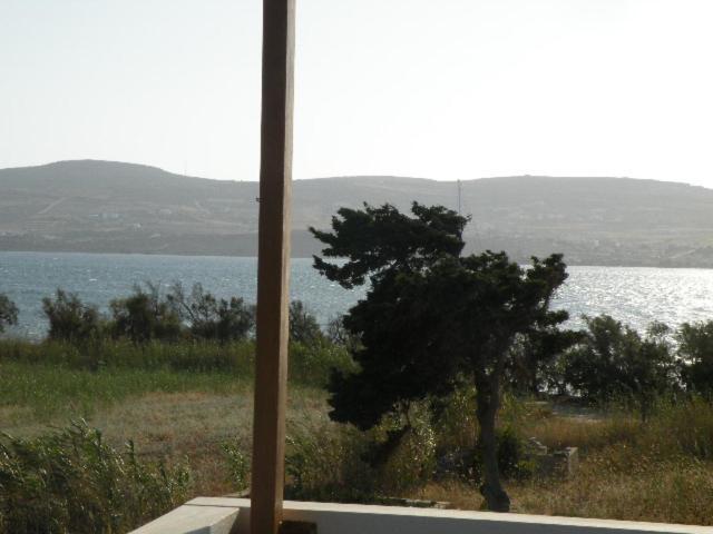 Remvi Studios Πούντα Εξωτερικό φωτογραφία