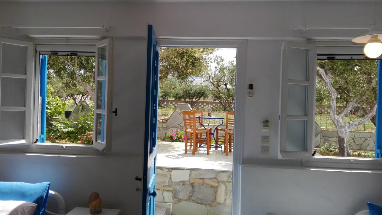 Remvi Studios Πούντα Εξωτερικό φωτογραφία